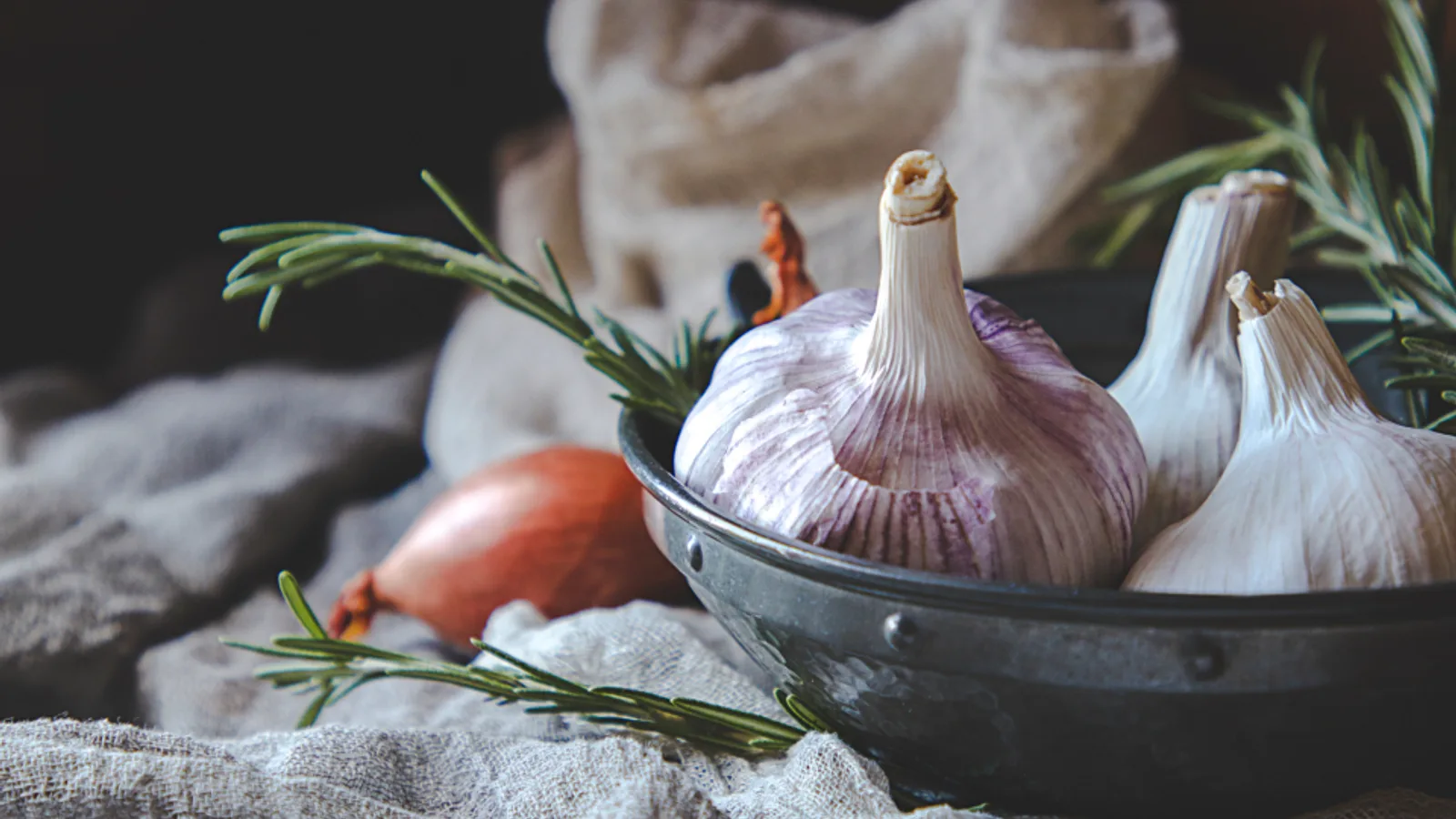 عکس مرتبط با بواسیر — بواسیر در طب سنتی؛ گیاه عطار و سخن حکما