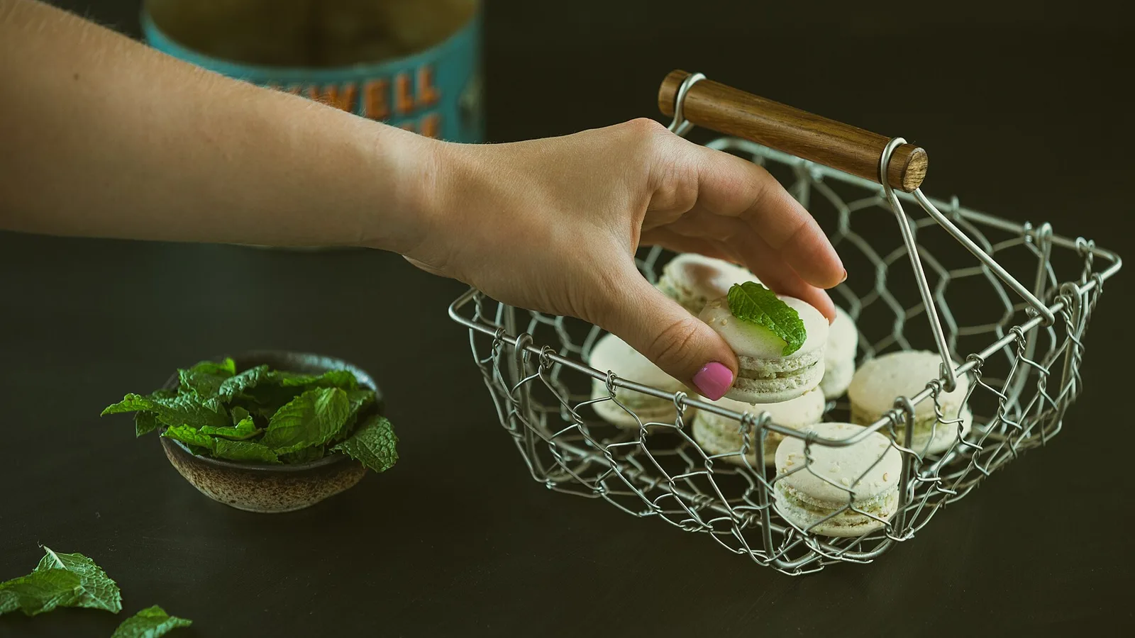عکس مرتبط با درد قاعدگی — درد قاعدگی در طب سنتی؛ گیاه عطار و سخن حکما