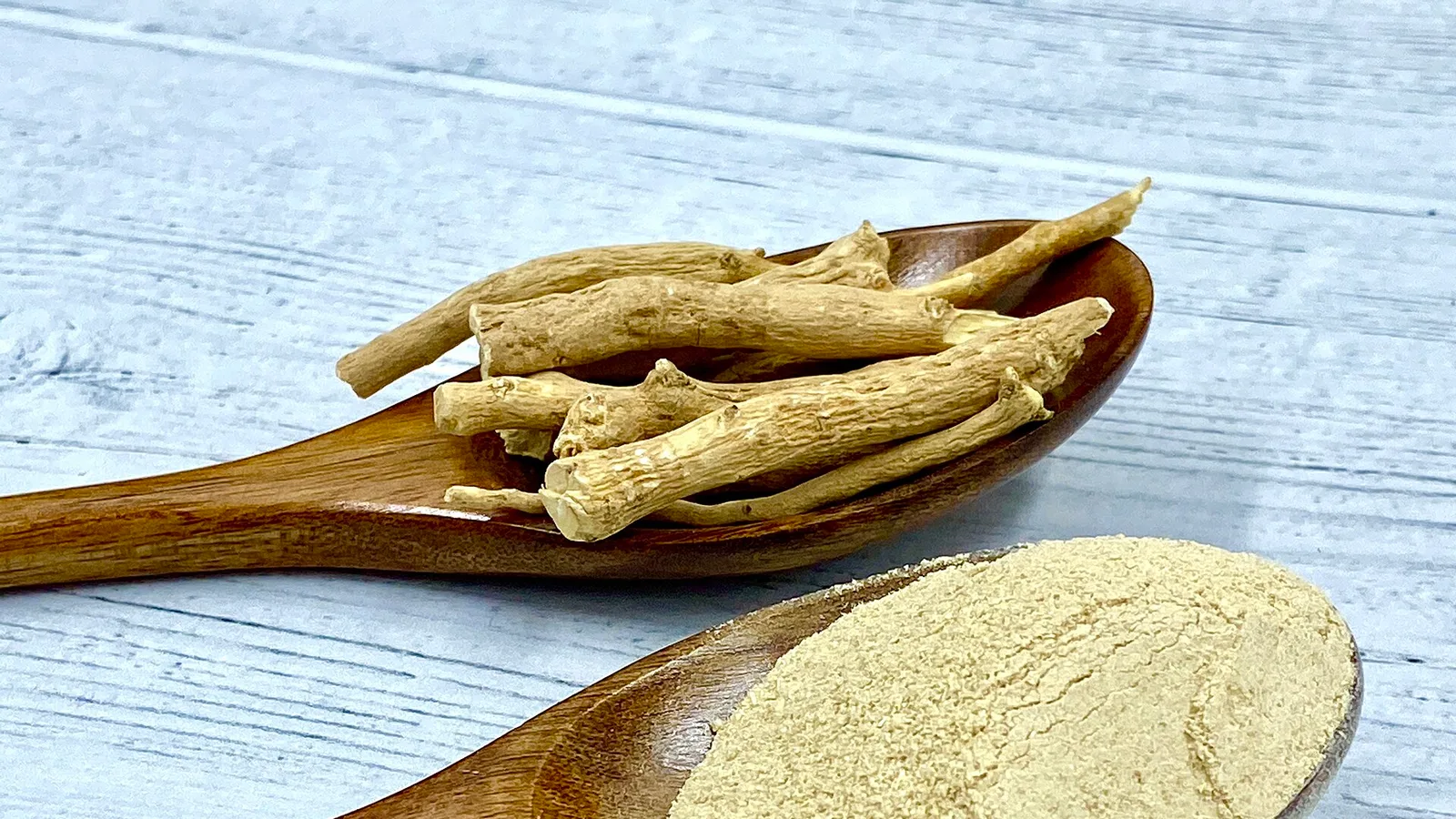 عکس مرتبط با خلط سینه — خلط سینه در طب سنتی؛ گیاه عطار و سخن حکما