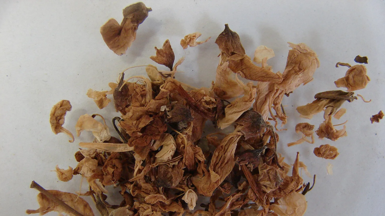 عکس مرتبط با رفلاکس معده — رفلاکس معده در طب سنتی؛ گیاه عطار و سخن حکما