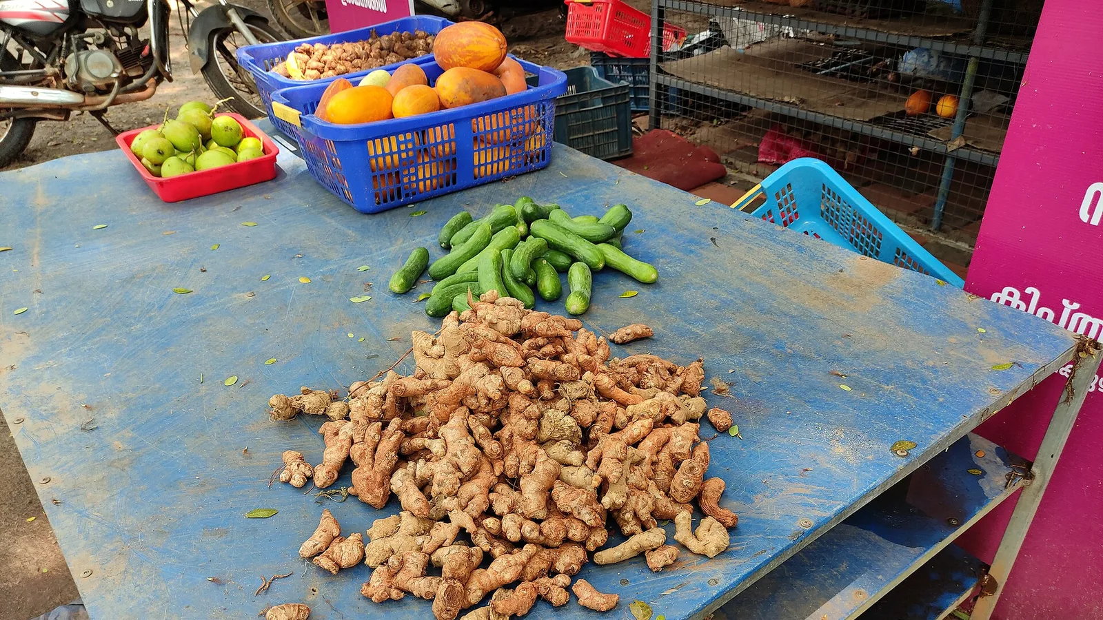 عکس مرتبط با ریزش موی مردان — ریزش موی مردان در طب سنتی؛ گیاه عطار و سخن حکما