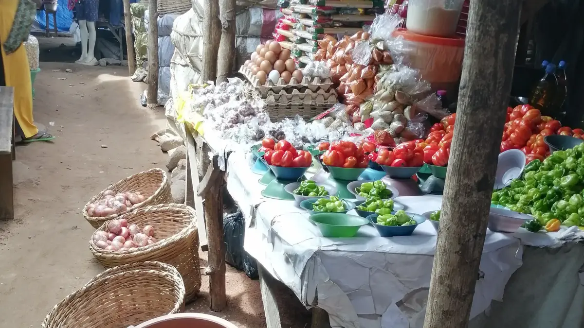 عکس مرتبط با خشکی چشم — خشکی چشم در طب سنتی؛ علت، گیاه و دمنوش خانگی