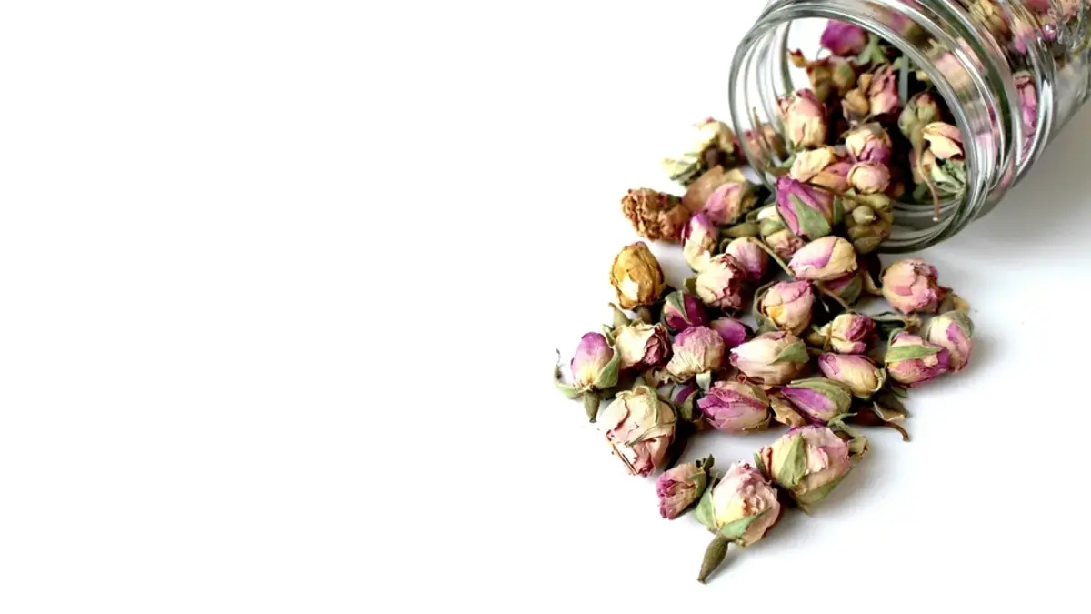 عکس مرتبط با سنگ کلیه — سنگ کلیه در طب سنتی؛ گیاهان و دمنوشهای کمکی