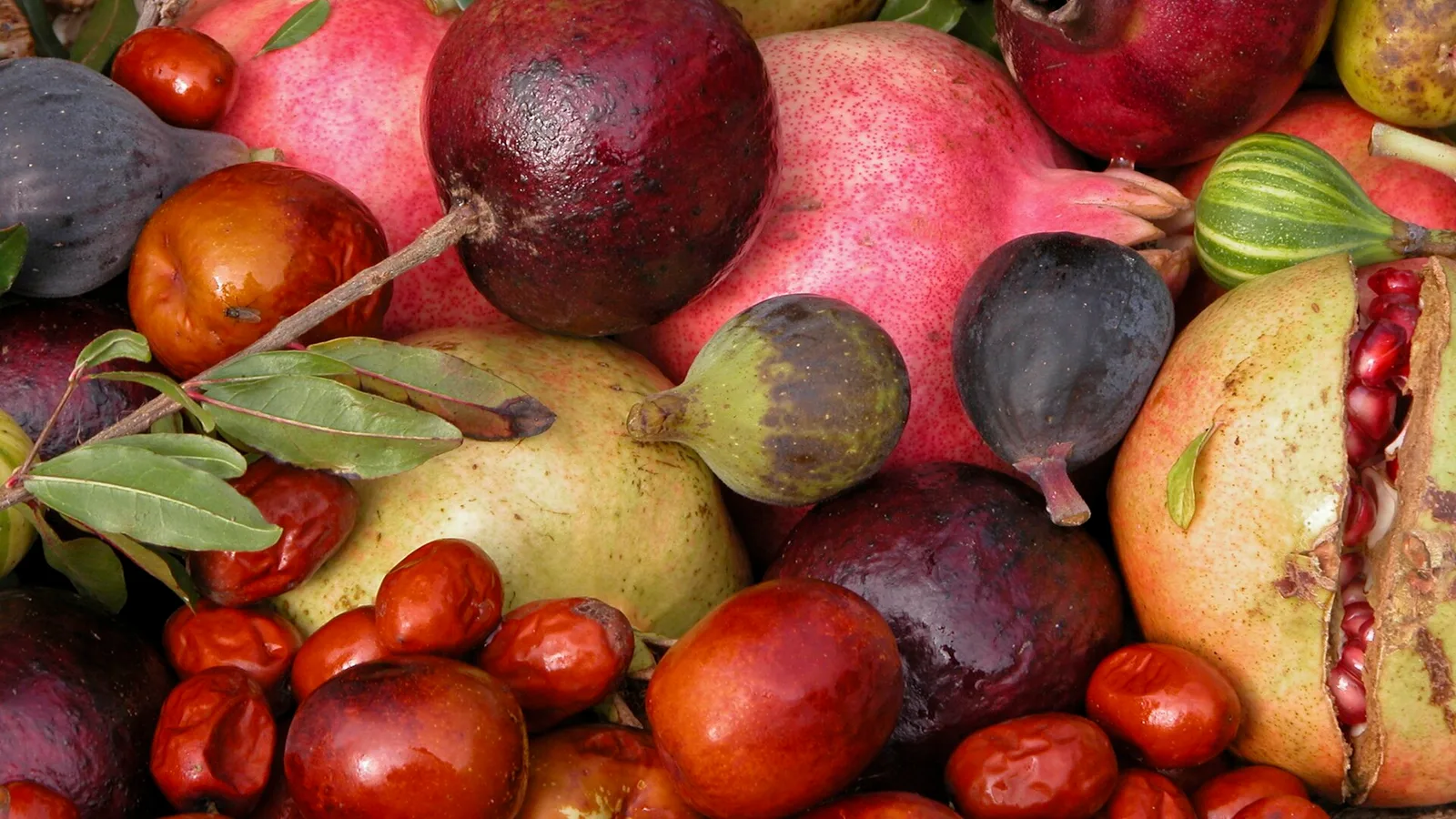 عکس مرتبط با دمنوش برای خواب — دمنوش برای خواب در خانه | طب سنتی