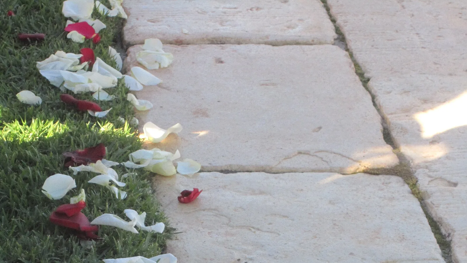 عکس مرتبط با صفرا — سریع‌ترین راه رفع صفرا در خانه | طب سنتی