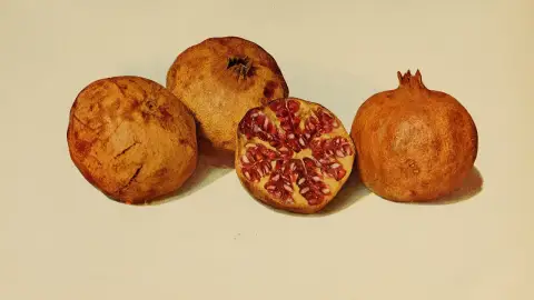 عکس مرتبط با درمان خانگی سردرد — درمان خانگی سردرد با گیاهان دارویی | راهنمای طب سنتی