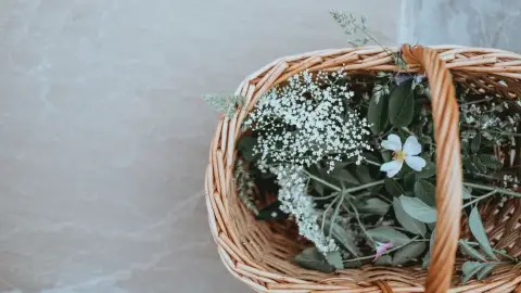 عکس مرتبط با درمان خانگی سرماخوردگی — درمان خانگی سرماخوردگی با گیاهان دارویی | راهنمای طب سنتی