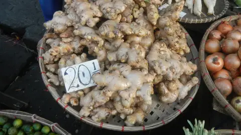 عکس مرتبط با درمان خانگی سرفه — درمان خانگی سرفه با گیاهان دارویی | راهنمای طب سنتی