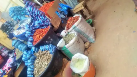عکس مرتبط با خواص عسل — خواص عسل با گیاهان دارویی | راهنمای طب سنتی