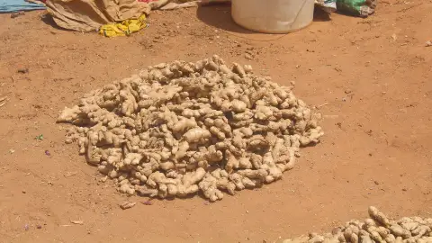 عکس مرتبط با خواص دارچین — خواص دارچین با گیاهان دارویی | راهنمای طب سنتی