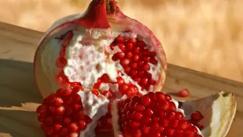عکس مرتبط با تهوع — تهوع در طب سنتی؛ علت، گیاه و دمنوش خانگی